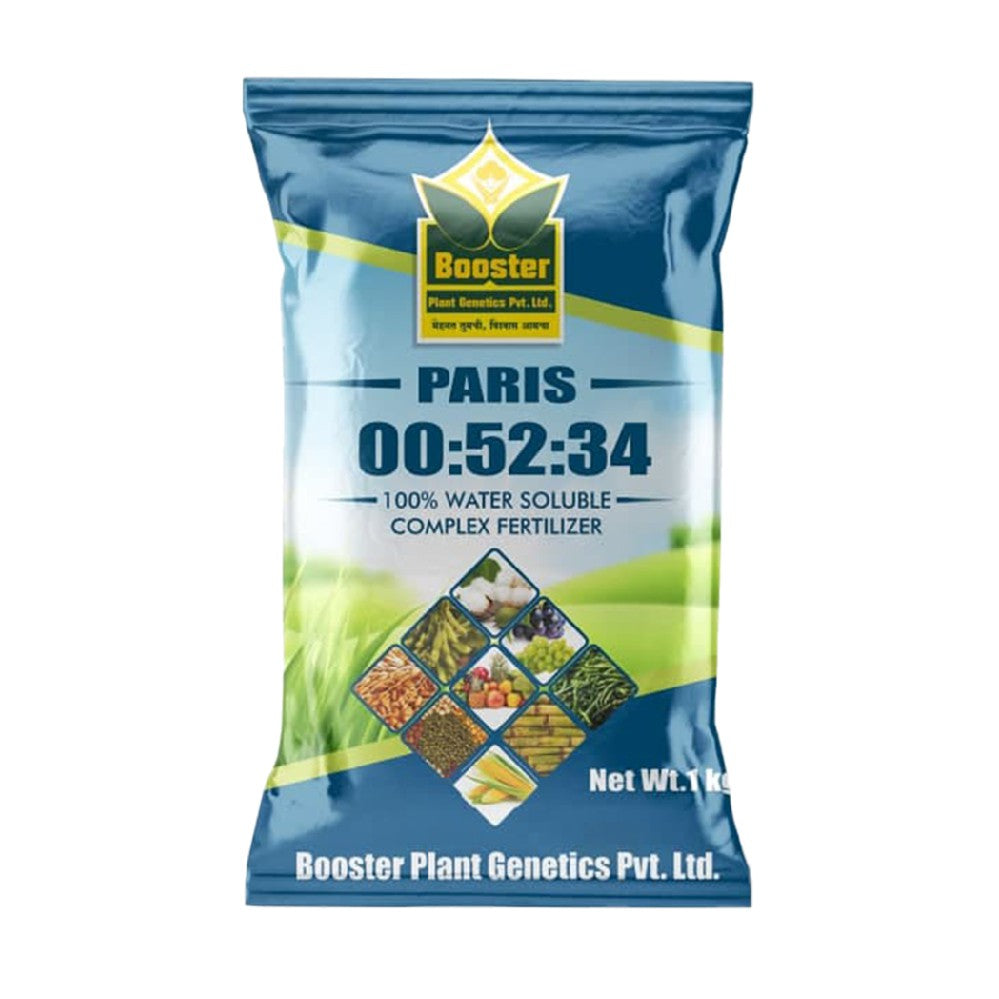 Paris 00:52:34
