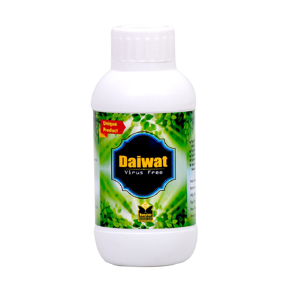 Daiwat
