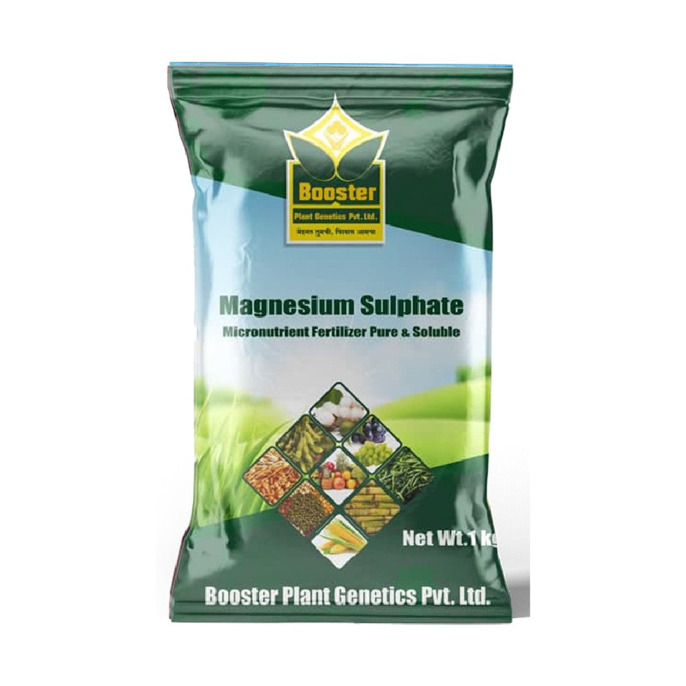 Magnesium Sulphate