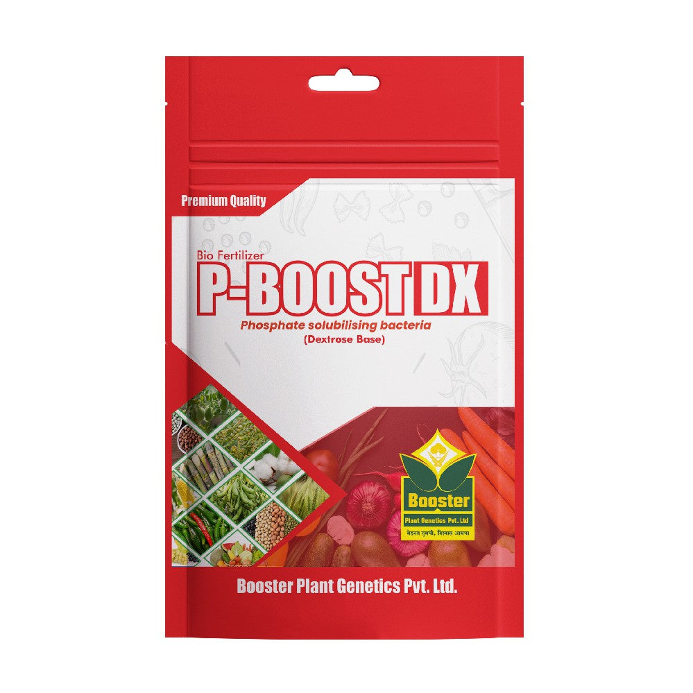 P-Boost DX