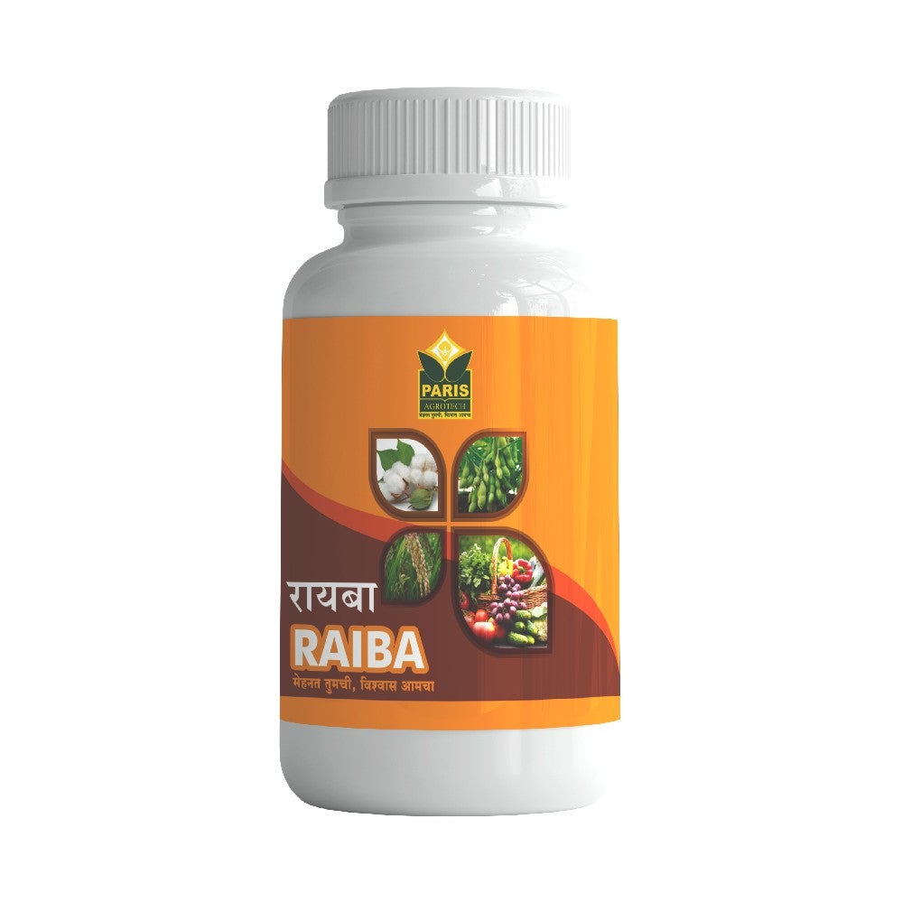 Raiba