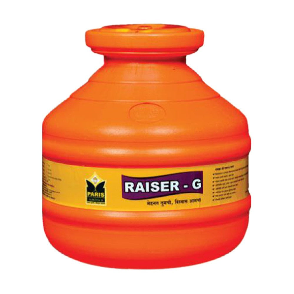 Raiser-G