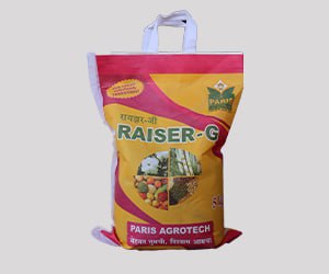 Raiser-G