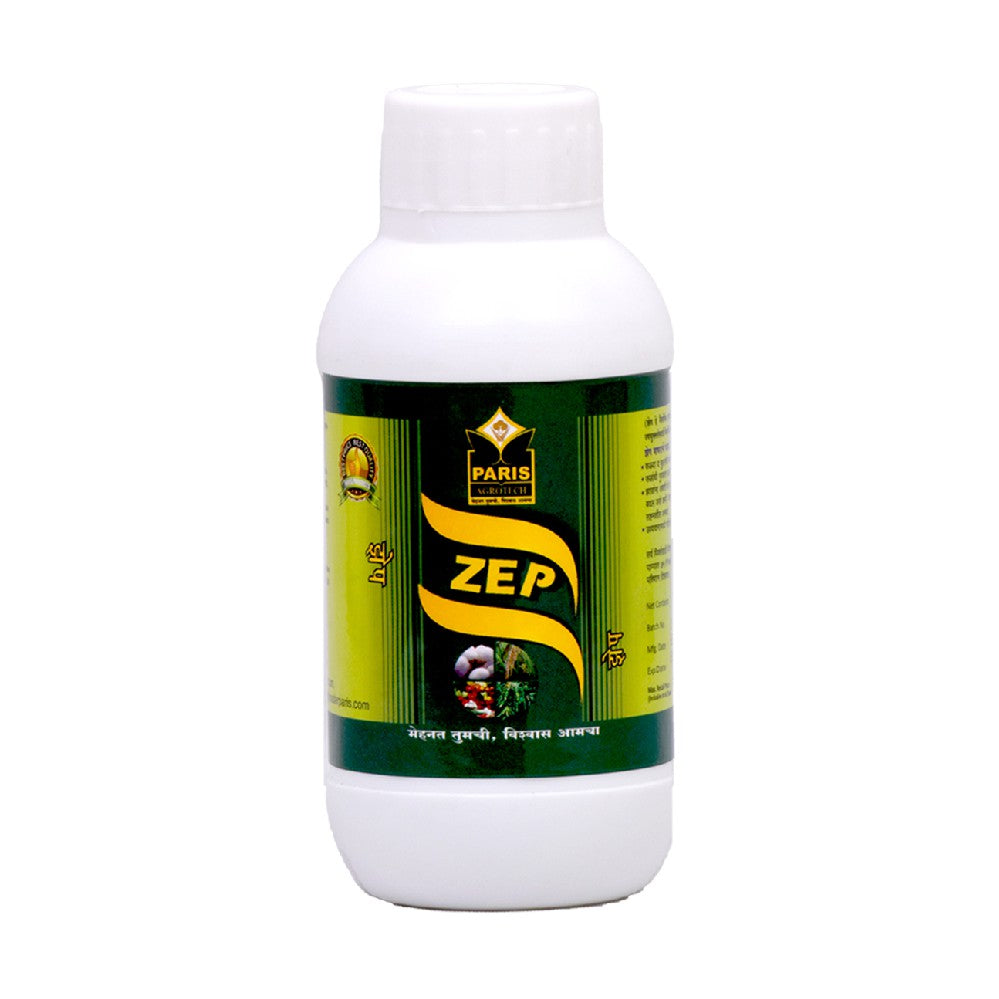 Zep