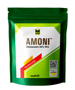 Amoni