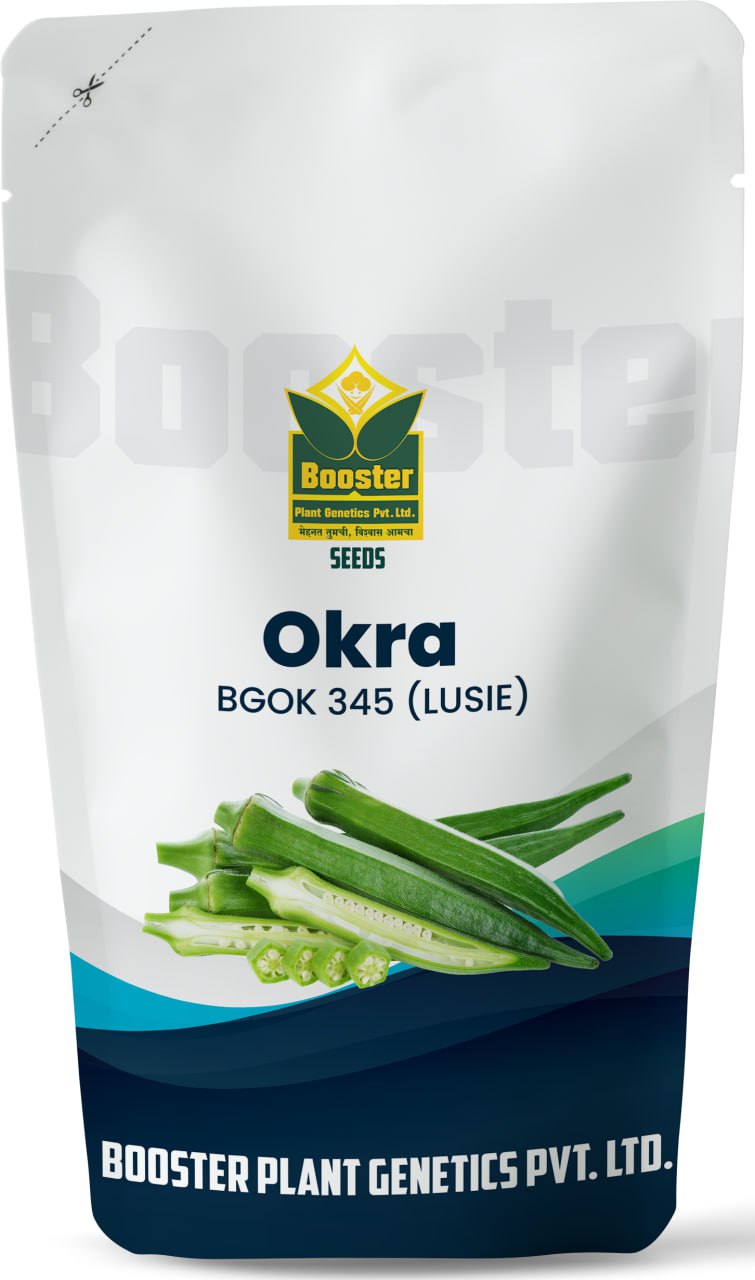 OKRA (LUSIE) BGOK-345