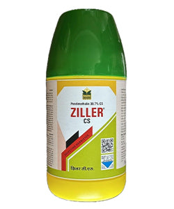 Zillers CS