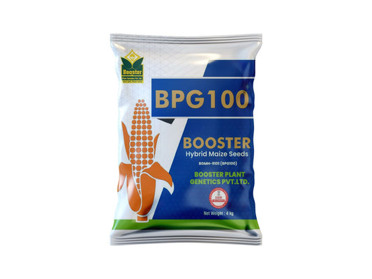 Maize- BPG-100